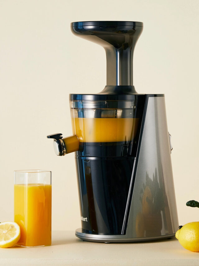 Wie entsaftet ein Slow Juicer?